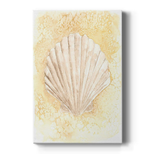 Salty Seashell II - Canvas Art Print
