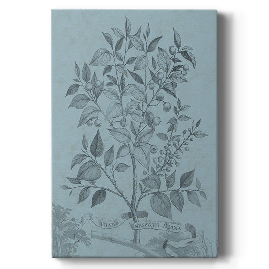 Botanical on Teal V Premium Gallery Wrapped Canvas - Ready to Hang