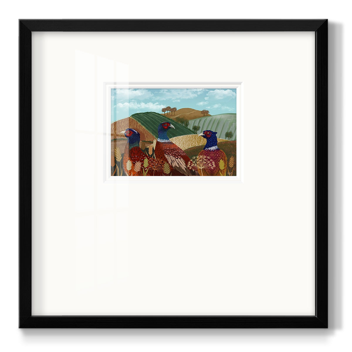 Pheasant Trio in Field Premium Framed Print Double Matboard