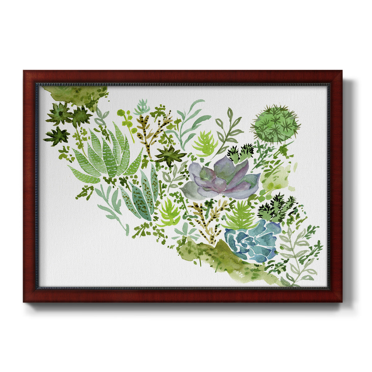 Succulent Field II - Ornate Framed Canvas Print