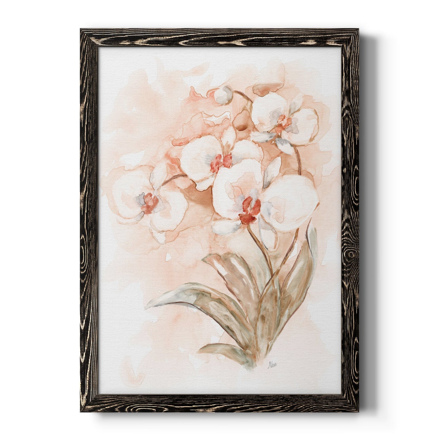 White and Coral Orchid II - Barnwood Framed Canvas Print