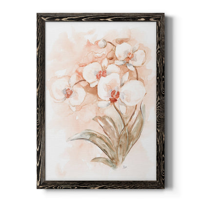 White and Coral Orchid II - Barnwood Framed Canvas Print