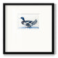Mallard Blue II - Double Matboard Framed Print