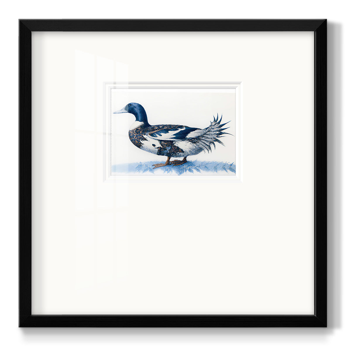 Mallard Blue II - Double Matboard Framed Print