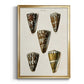 Cone Shell Collection V - Modern Framed Canvas Print