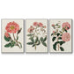 Pink Floral Mix IV - Floater Framed Canvas Set