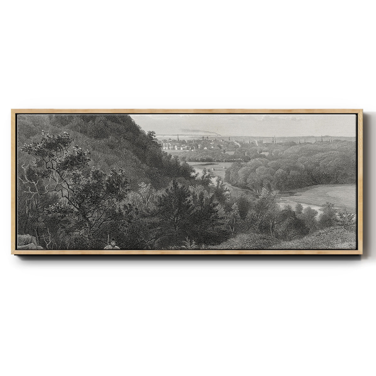 East Rock, New Haven - Floater Framed Canvas Print