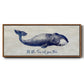 Let The Sea Set You Free - Floater Framed Canvas Print