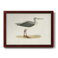 Morris Sandpipers I Premium Framed Canvas- Ready to Hang