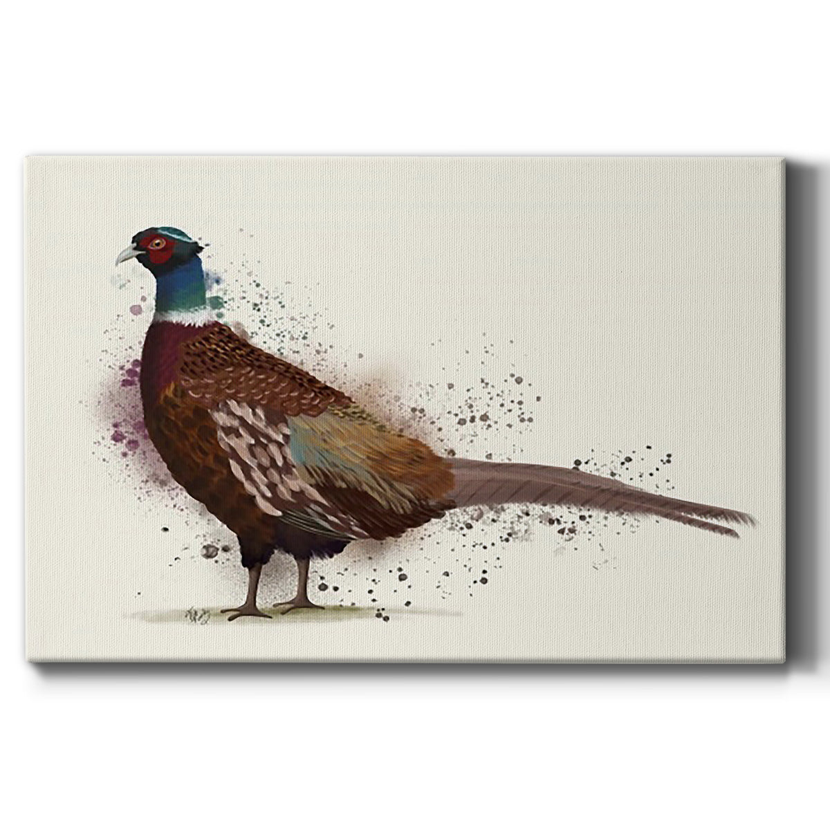 Pheasant Splash 1 Premium Gallery Wrapped Canvas - Ready to Hang