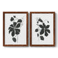 Set of two maple barnwood framed canvas prints featuring two minimalist botanical prints featuring black leafy vine silhouettes.