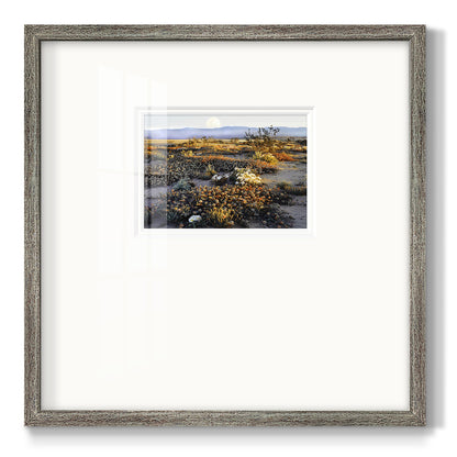 Anza Borrego Desert Premium Framed Print Double Matboard