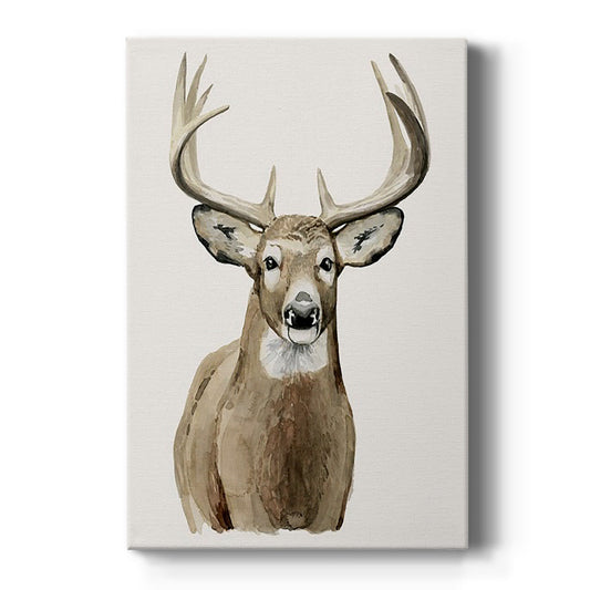 Handsome Whitetail II - Canvas Art Print