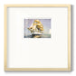 Golden Sail III - Double Matboard Framed Print