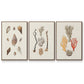 Knorr Shells & Coral IV - Floater Framed Canvas Set