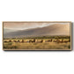 Wild and Free I - Floater Framed Canvas Print