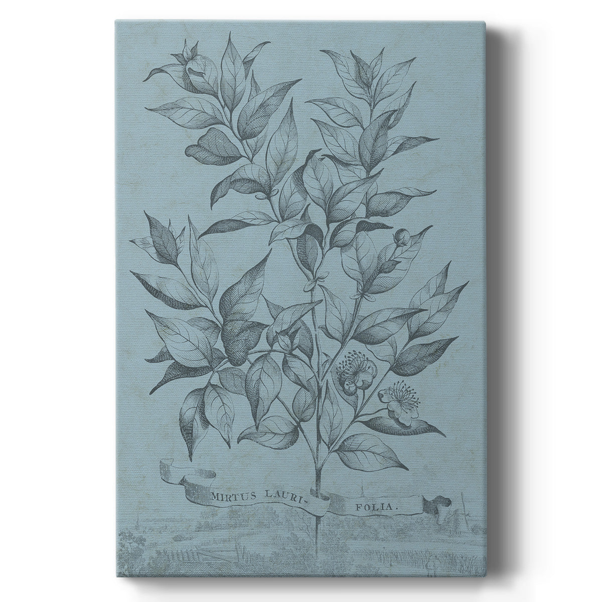 Botanical on Teal I Premium Gallery Wrapped Canvas - Ready to Hang