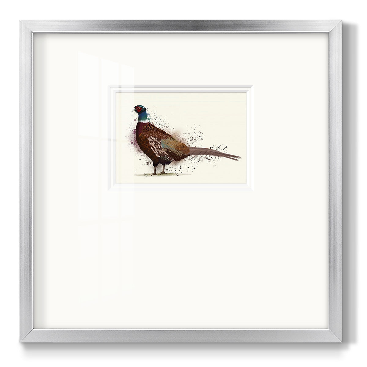 Pheasant Splash 1 - Double Matboard Framed Print