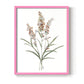 Dainty Botanical I - Restickable Framed Art Print
