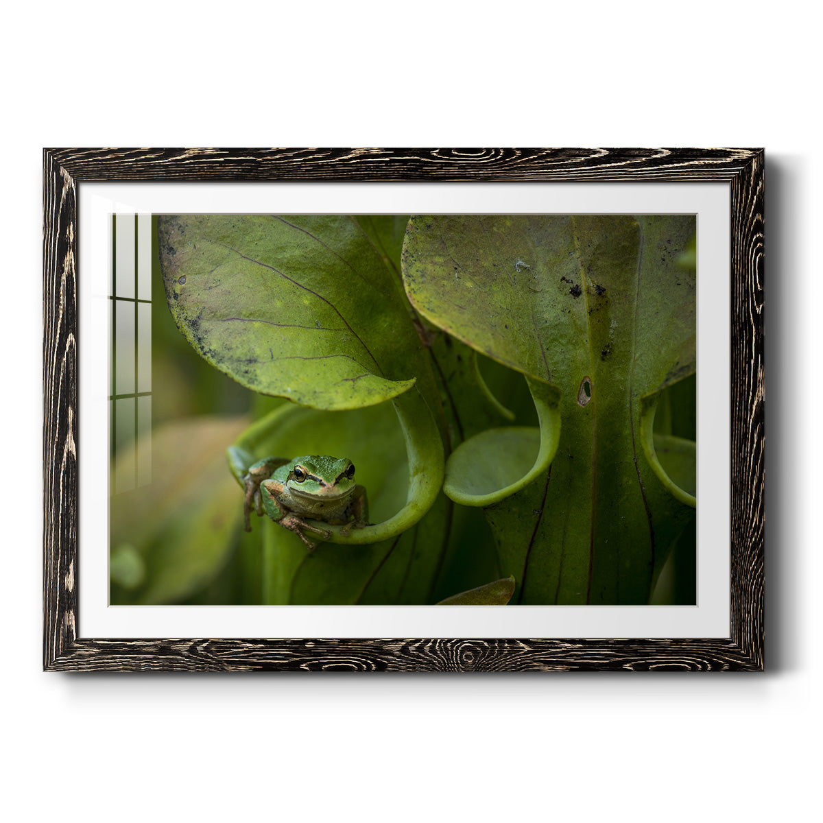 Arboreal Refuge - Barnwood Framed Art Print