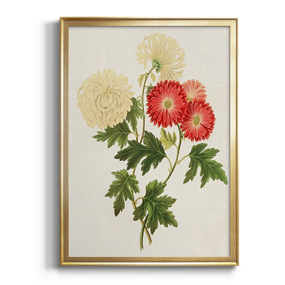 Flowers of the Seasons I - Modern Framed Canvas Print