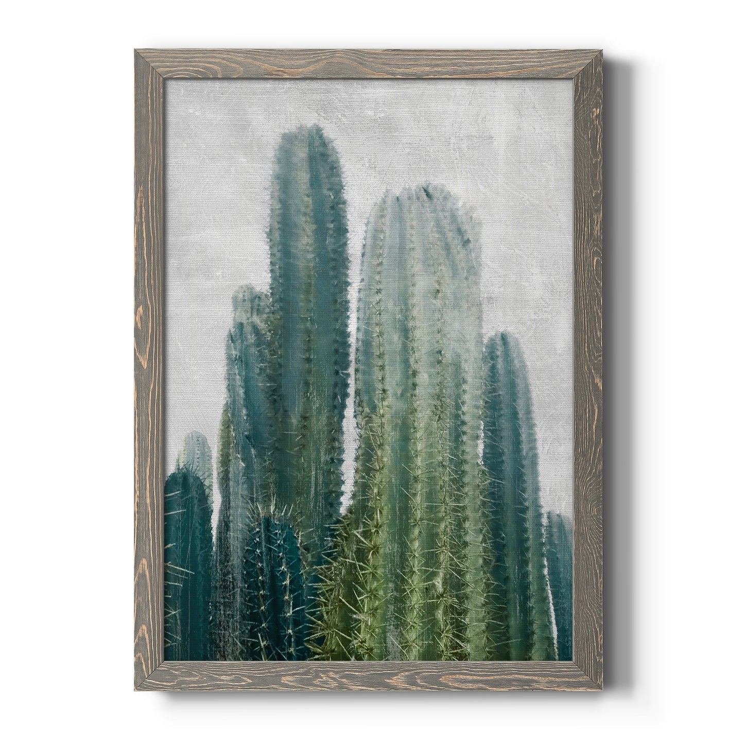 Aruba Cacti II - Barnwood Framed Canvas Print