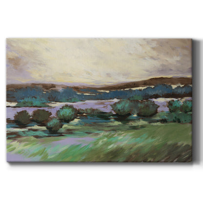 Sunny Desert Floor - Canvas Art Print
