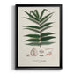 Botanical Society Ferns XII - Modern Framed Canvas Print