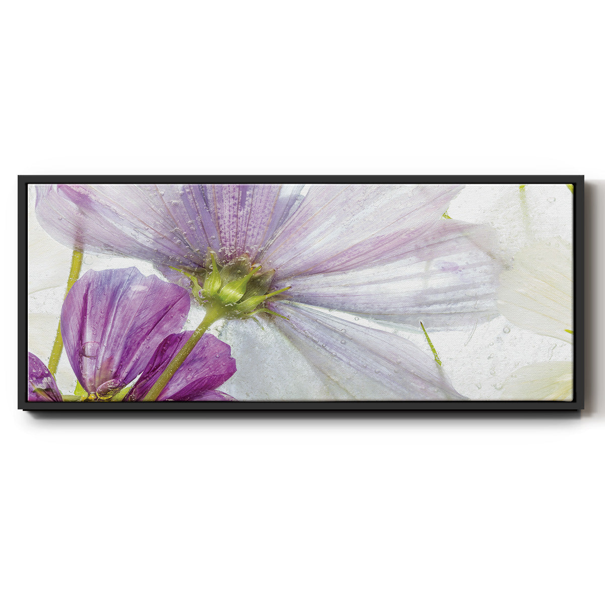 Frozen Floral I - Floater Framed Canvas Print