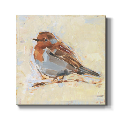 Bird Variety I - Canvas Art Print