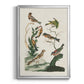 Antique Birds in Nature I - Modern Framed Canvas Print