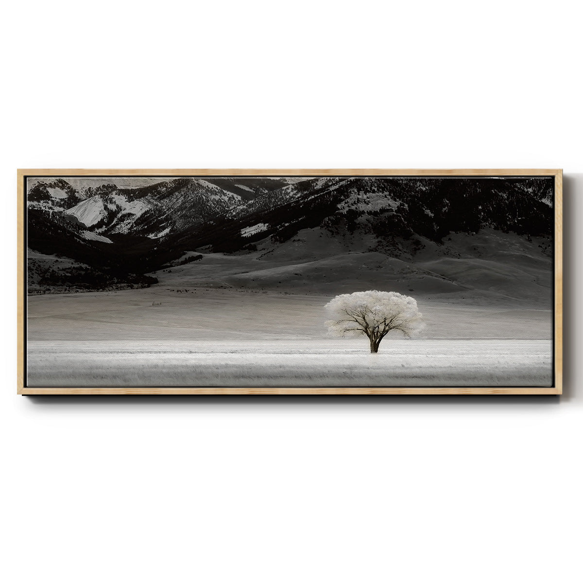 Solitary Tree - Floater Framed Canvas Print