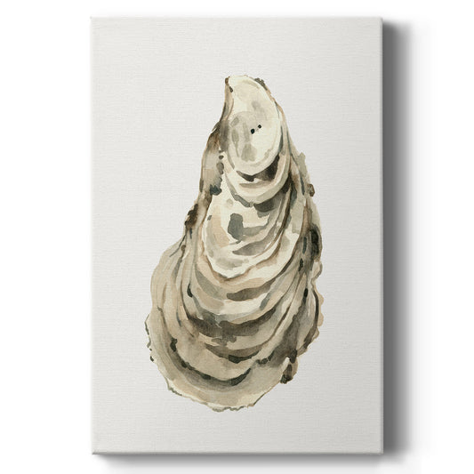 Neutral Oyster Study I  - Canvas Art Print