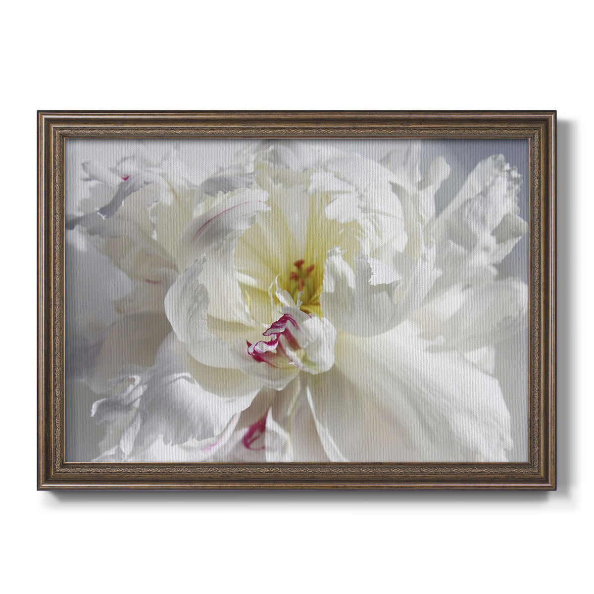 Breathless V Premium Framed Canvas- Ready to Hang