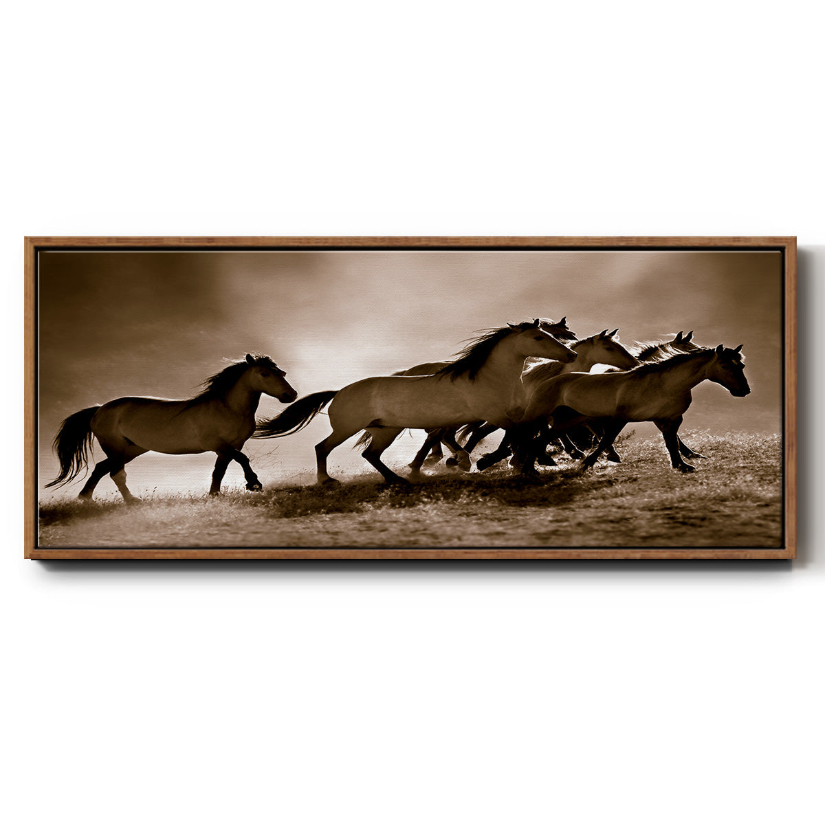 Wild Horses - Floater Framed Canvas Print