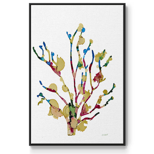 Sea Coral III - Floater Framed Canvas Print