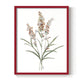 Dainty Botanical I - Restickable Framed Art Print