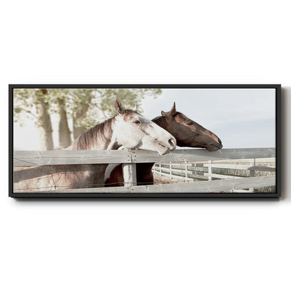 Friendly Visit - Floater Framed Canvas Print