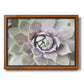 Succulent Glow II - Ornate Framed Canvas Print