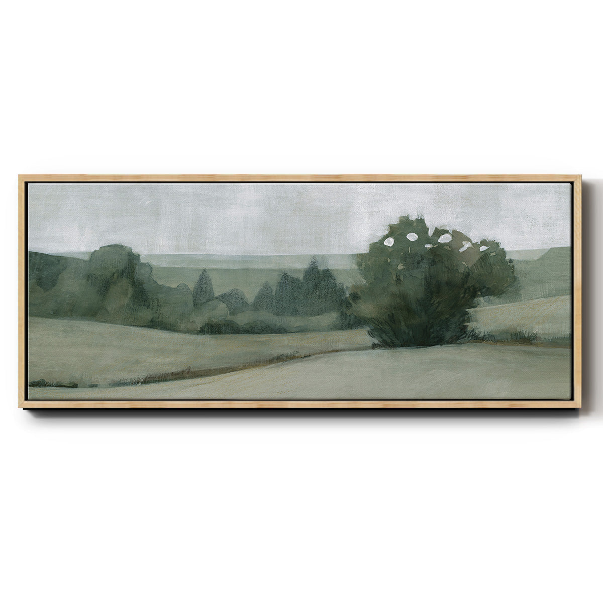 Soft Green Landscape II - Floater Framed Canvas Print