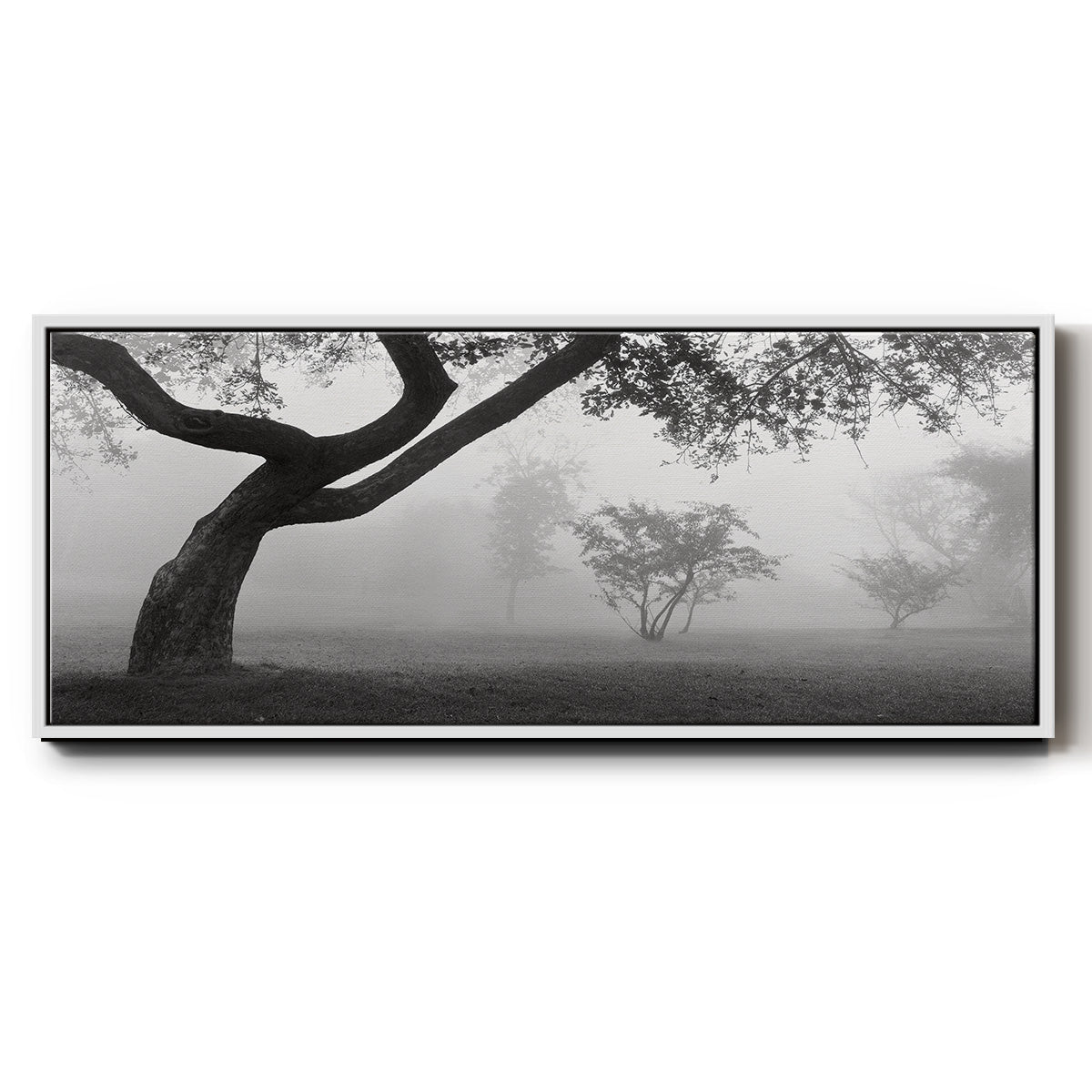 Morning Mist, Farmington Hills, Michigan - Floater Framed Canvas Print