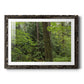 Calm of the Forest - Barnwood Framed Art Print