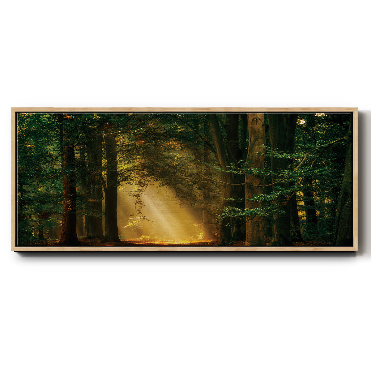 Shine On - Floater Framed Canvas Print