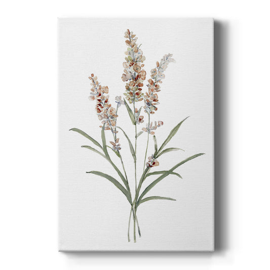 Dainty Botanical I - Canvas Art Print