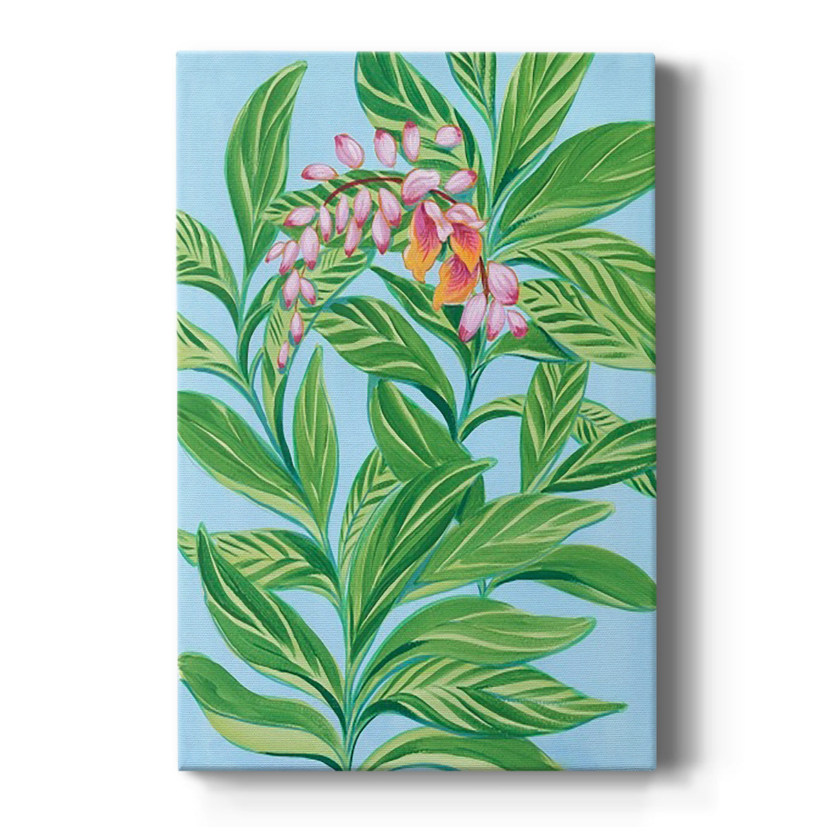 Tropical Shell Ginger I Premium Gallery Wrapped Canvas - Ready to Hang