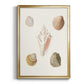 Pastel Knorr Shells IX - Modern Framed Canvas Print