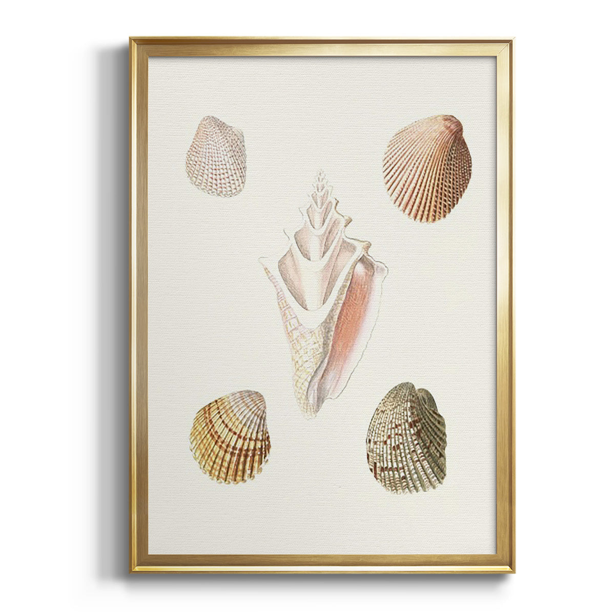 Pastel Knorr Shells IX - Modern Framed Canvas Print