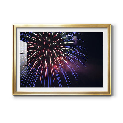 Sky Flower Premium Framed Print - Ready to Hang