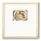 Neutral Wall Flower IV - Double Matboard Framed Print