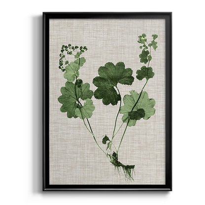 Forest Foliage on Linen I - Modern Framed Canvas Print
